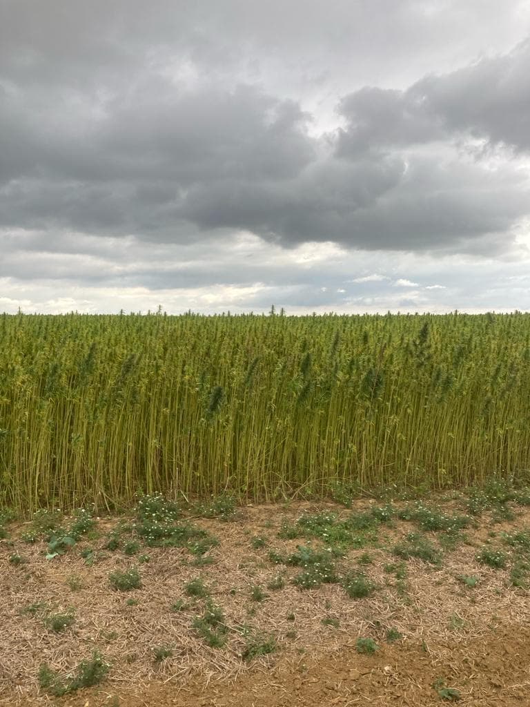 Ferme SCA de la Maladière